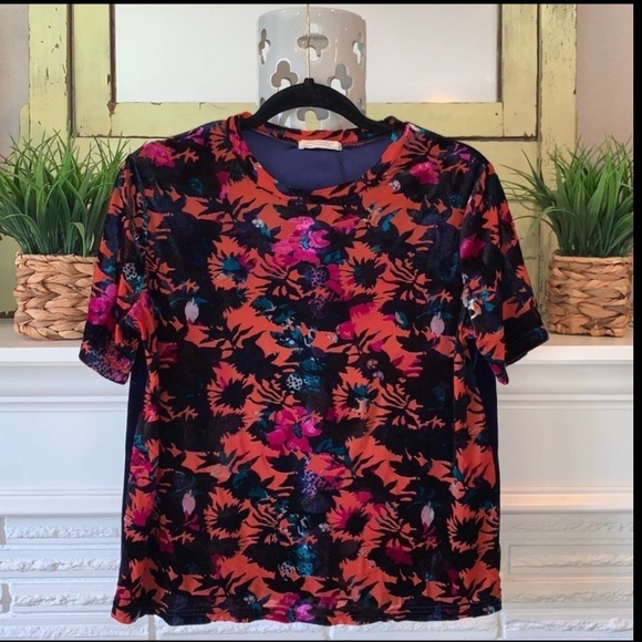 ZARA Velvet Floral Print Burnout Boxy Crewneck Short Sleeve Top Size M Fall - Picture 1 of 7